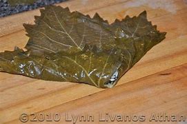 VINE LEAVES ROLLED PER KG